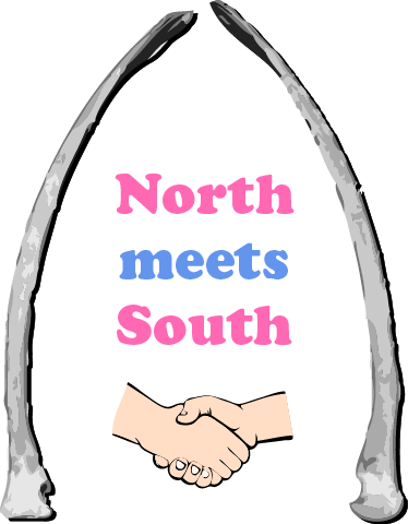 North Meets South Big Local logo