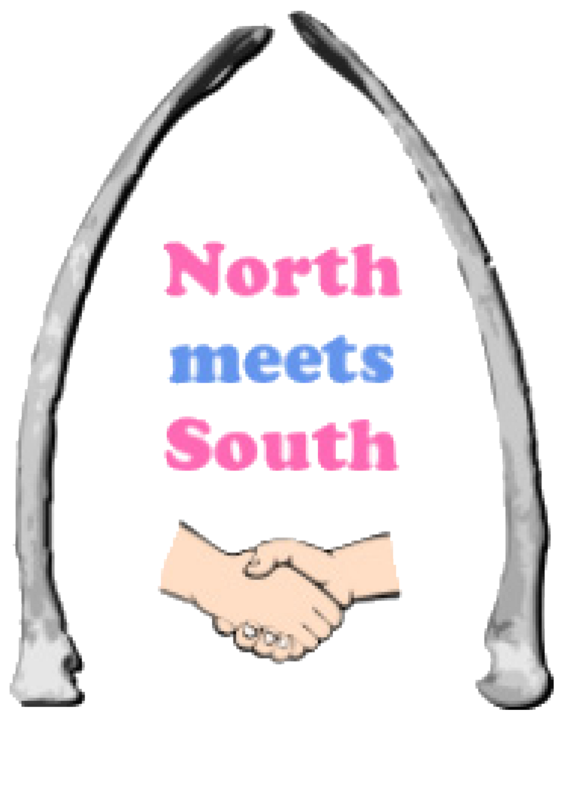 North Meets South logo